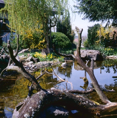 ©Naturgarten-Wettbewerb Radolfzell.jpg
