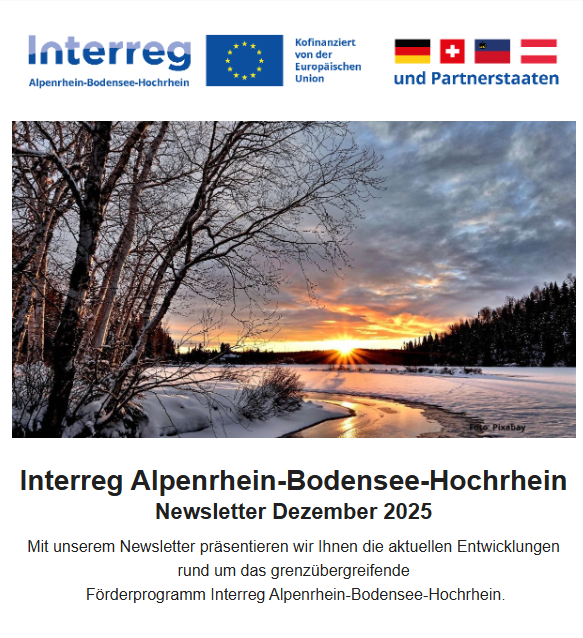 Newsletter Ausgabe Dezember 2025
