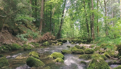 Interreg Video (1).png