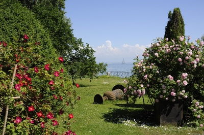 Stiegeler Park Konstanz ©Nina Baisch.jpg