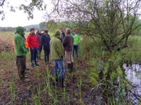 Tümpel, Weiher & Co - Kleingewässer bereichern die Bodenseeregion