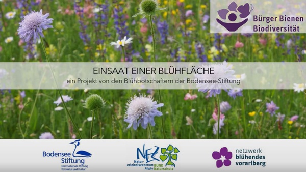 Blühbotschafter im Einsatz in Markdorf: Anlage einer Blühfläche