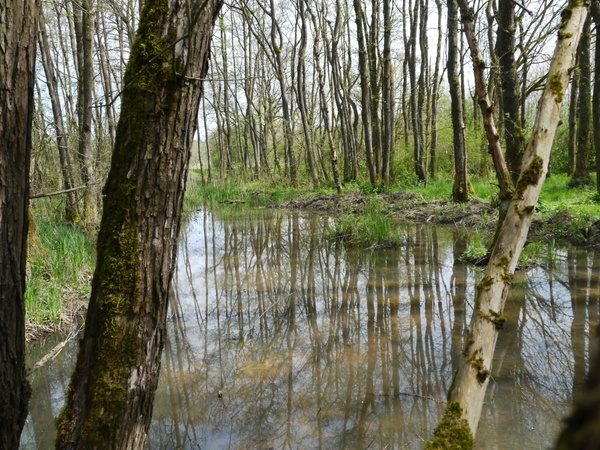 Landesnaturschutzpreis für das Interreg V Projekt Kleingewässer