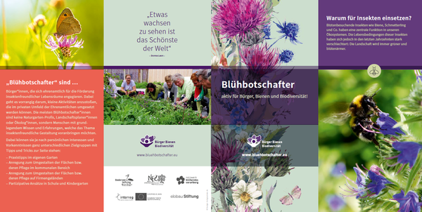 Singen ruft Bee-Deal aus